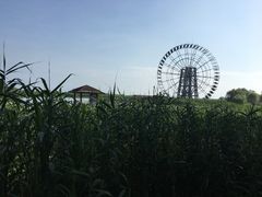 -太湖湖滨国家湿地公园-停车场