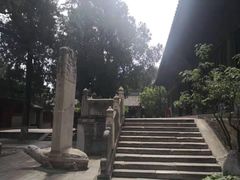 -大觉寺-停车场