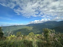 -海南霸王岭国家森林公园