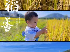 -艾米稻香小镇