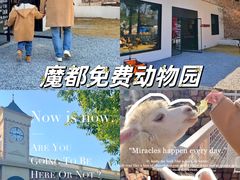 -J Create城市露营咖啡·简餐·宠物(上海动物园店)