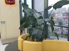 -谐和贝康宠物医院24小时·宠保定点(急重症转诊中心)