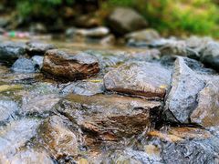 -重庆睡佛山森林公园
