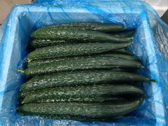 -江杨农产品批发市场