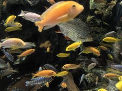 -太平洋海底世界