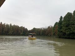 -上海海湾国家森林公园