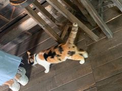 -BUND·FIVE外滩5号(天际店)