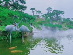 -罗红摄影艺术馆