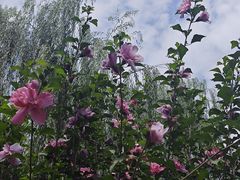 -玄武湖景区-情侣园游乐场