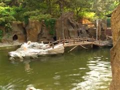 -燕塞湖鸟语林景区