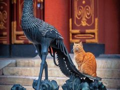 -颐和园