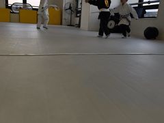 -勇气斑马·巴西柔术&跆拳道(浦东三林店)