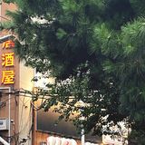 日式居酒屋
