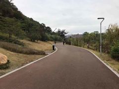 -飞凤山奥体公园