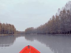 -上海海湾国家森林公园