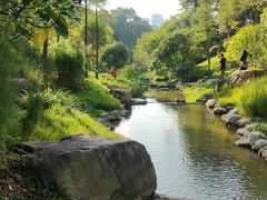 -云溪植物园