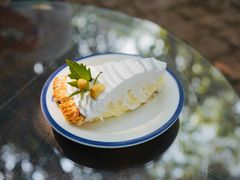 -Fern Forest Cafe