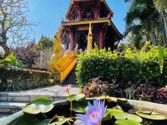 -中国科学院西双版纳热带植物园