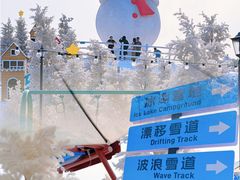 -盈香心动乐园