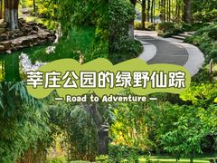 -莘庄公园