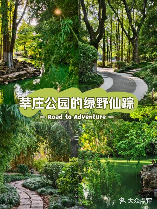 莘庄公园图片