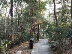 -麦当劳(世贸店)