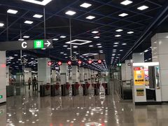 -红树湾(地铁站)