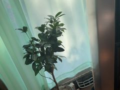 -慢丽江·云南野生菌土鸡锅(西山店)