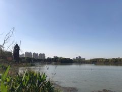 -昆山城市生态森林公园