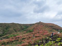 -大围山国家森林公园