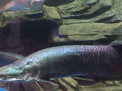 -石林冰雪海洋世界