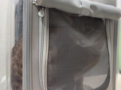 -美联众合动物医院·24h京西诊疗中心
