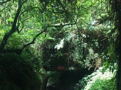 -碧峰峡风景区