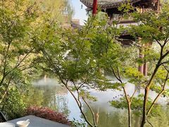 -和茶馆(西溪栖悦城店)