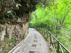 -苍山感通索道