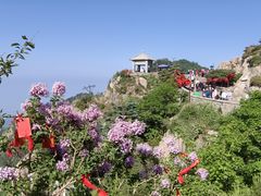 -泰山风景名胜区