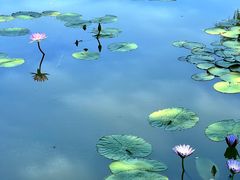 -国家植物园南园