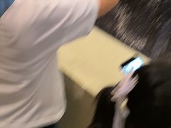 -敦煌市博物馆