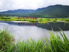 景点-腾冲北海湿地