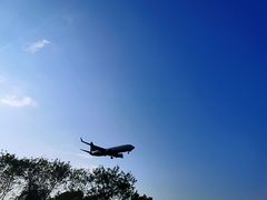 -海堤纪念公园