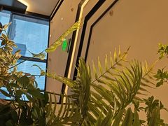 -炉鱼(萧山万象汇店)