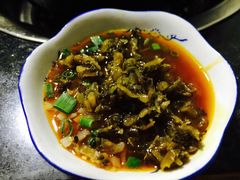 -石灰市毛记烧鸡公(解放碑店)