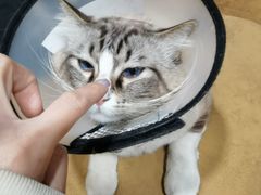 -白兔子密室(长寿路店)