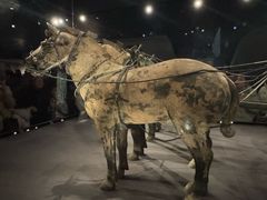 -秦始皇帝陵博物院-丽山园