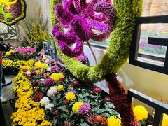 -杭州植物园