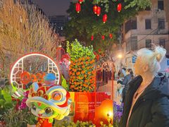 -越秀西湖花市(广州城市广场花卉店)