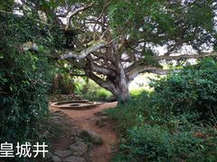 -硇洲岛旅游区