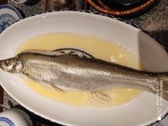 鸡汁白鱼-南京大牌档(济南万象城店)