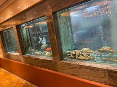 -海逸海鲜酒家(古北店)