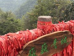 -青城山